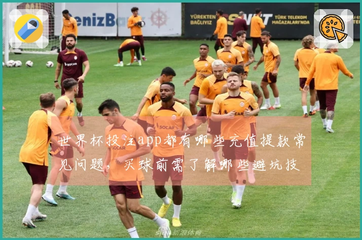 世界杯投注app都有哪些充值提款常见问题，买球前需了解哪些避坑技巧