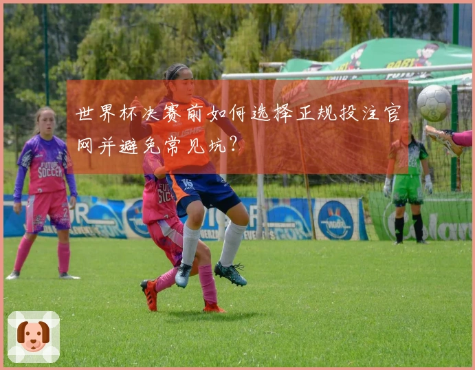 世界杯决赛前如何选择正规投注官网并避免常见坑？