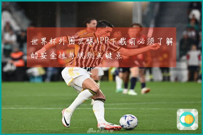 世界杯外围买球APP下载前必须了解的安全性与规则关键点