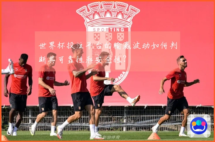 世界杯投注平台的输赢波动如何判断其可靠性和安全性？