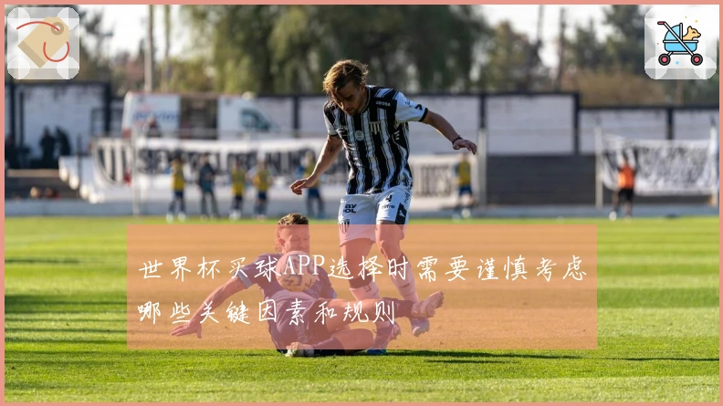 世界杯买球APP选择时需要谨慎考虑哪些关键因素和规则
